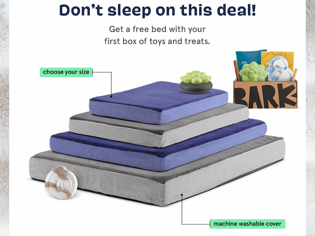 Free Dog Bed