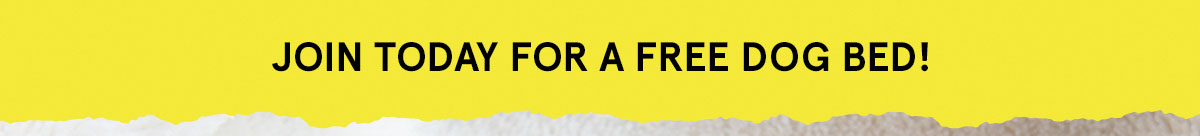 Free Dog Bed