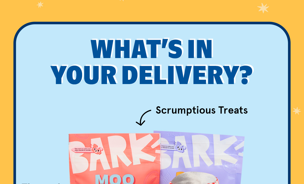 Everything in your delivery
