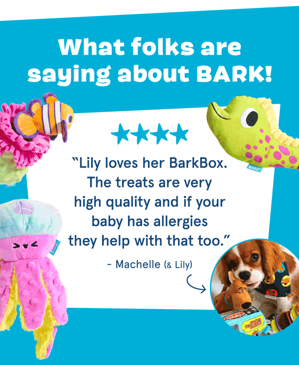 What folks are saying about BARK!