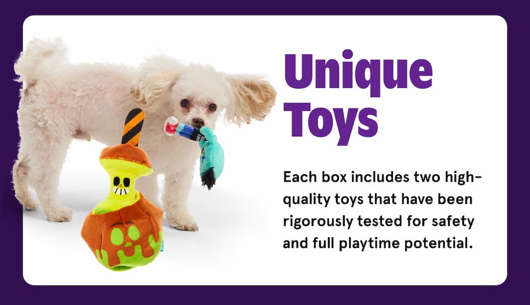 unique toys