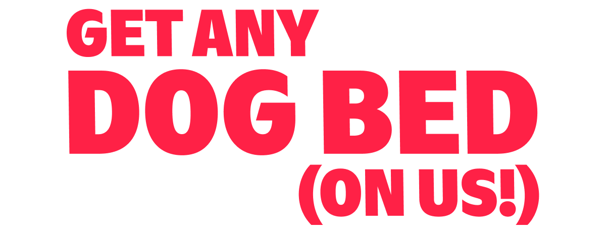 DOG Bed Get any (ON US!)