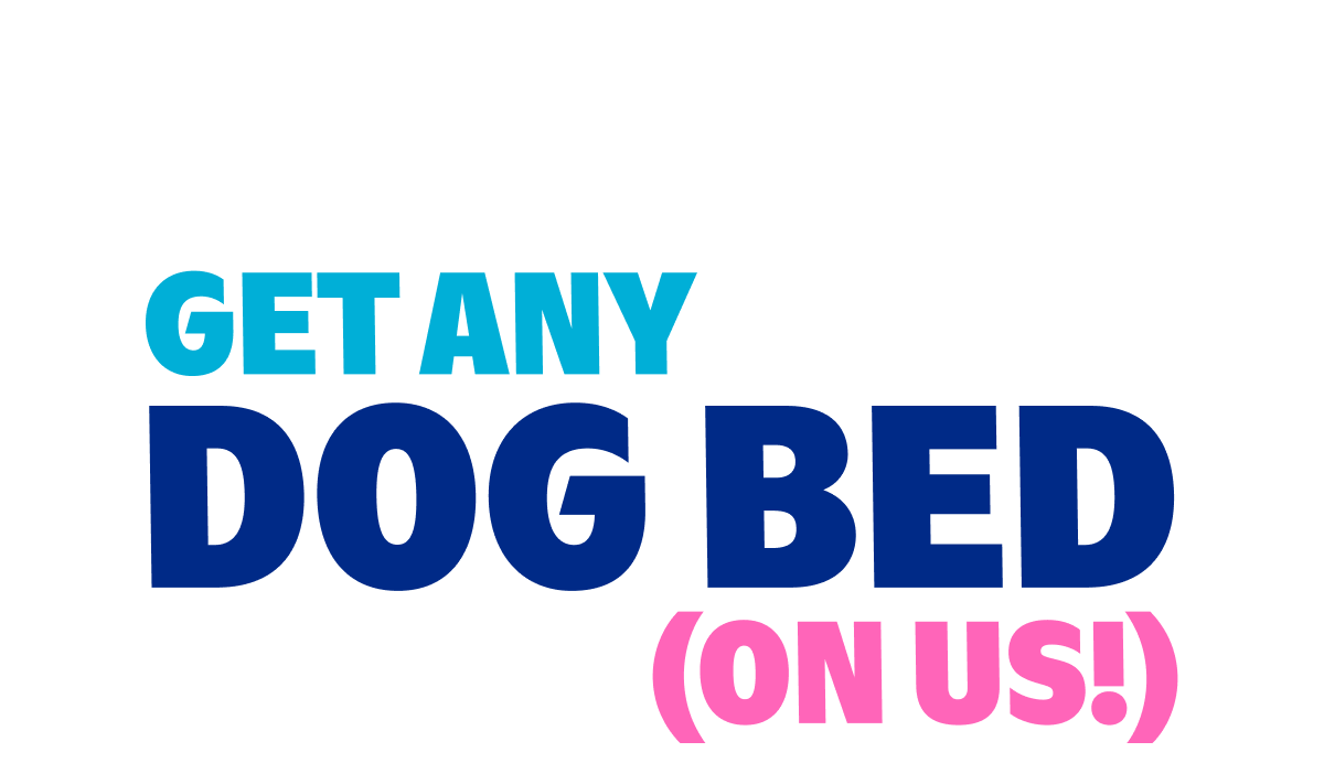 pick any DOG Bed (ON US!)