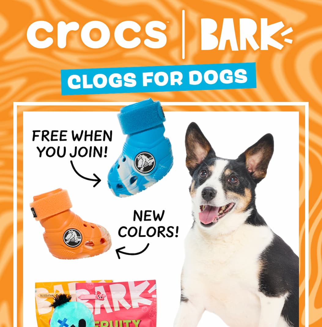 crocs I bark