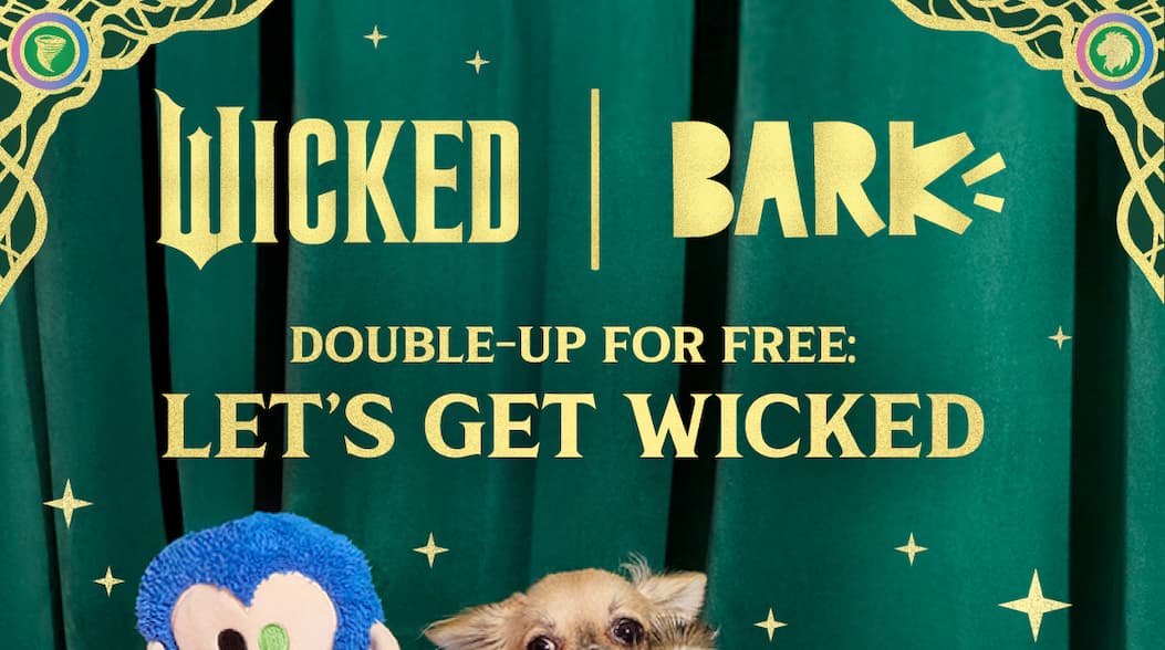 free wicked bundle