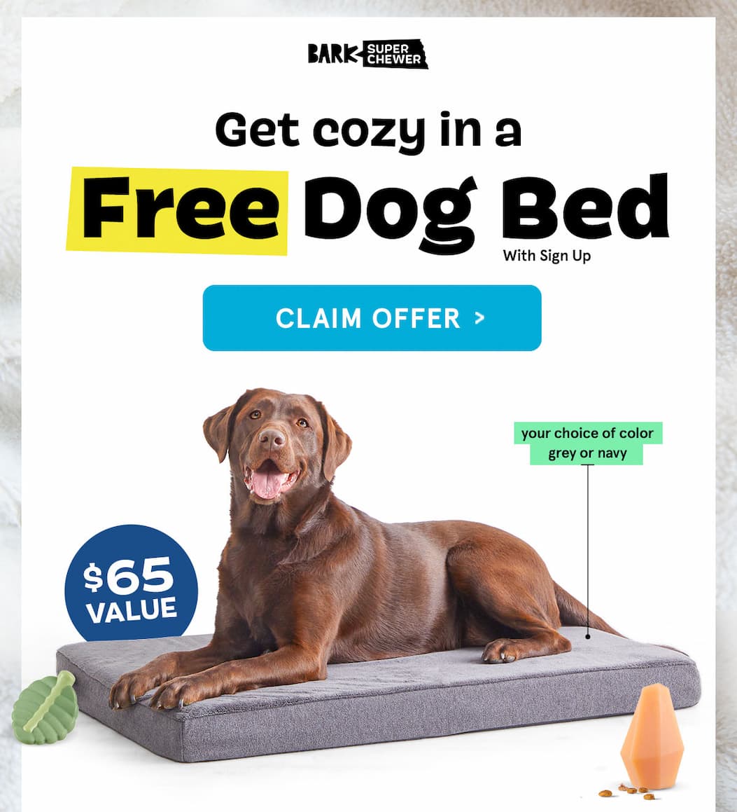 Free Dog Bed