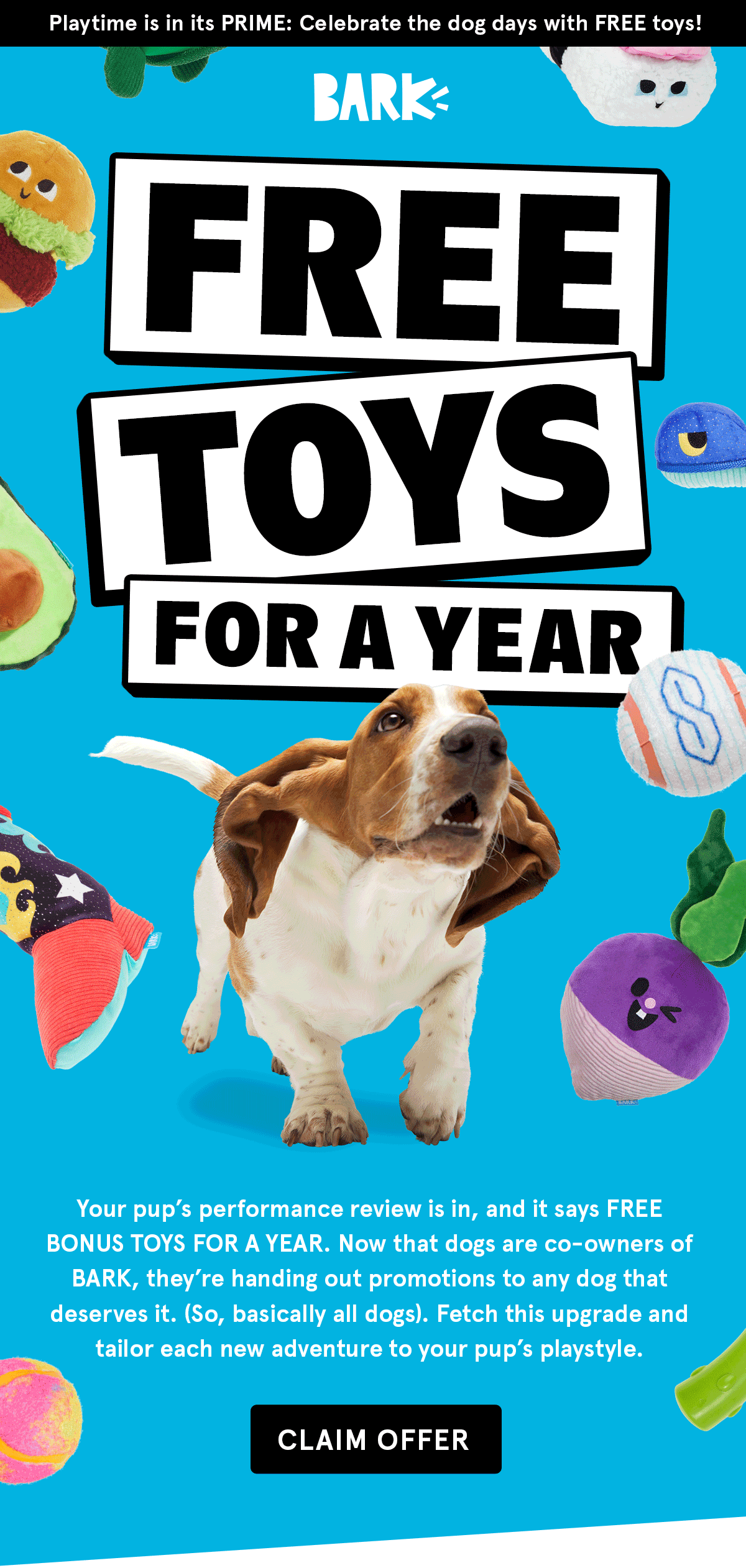 free toy for a year