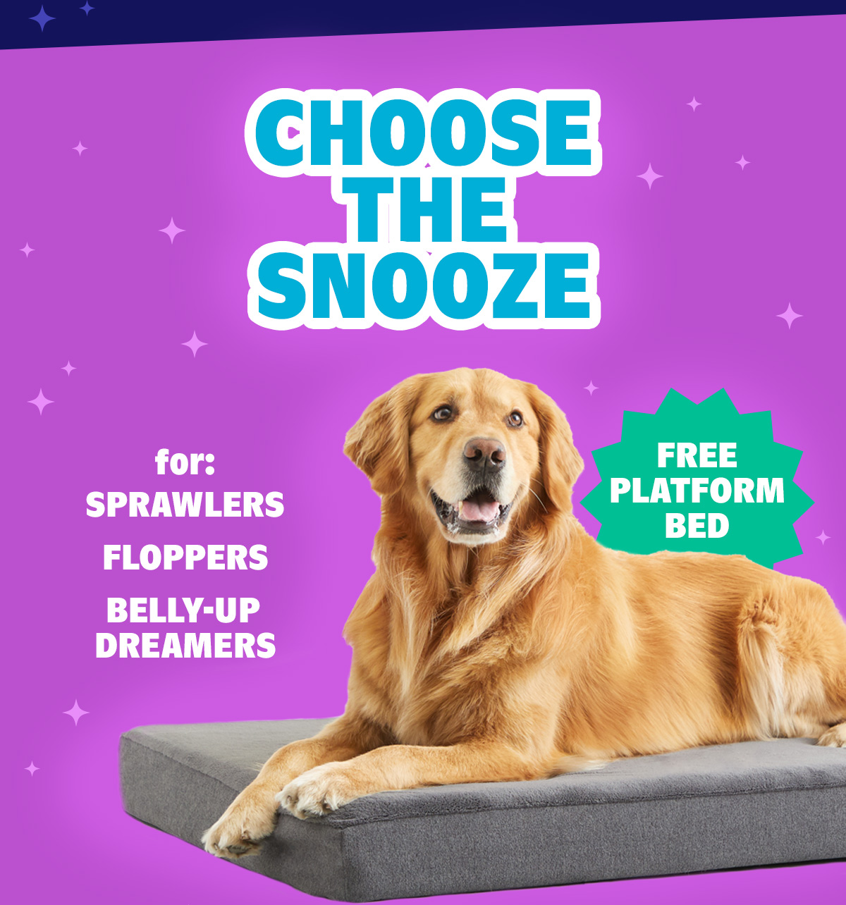 Platform Bed for Pups Who Like to Spread Out