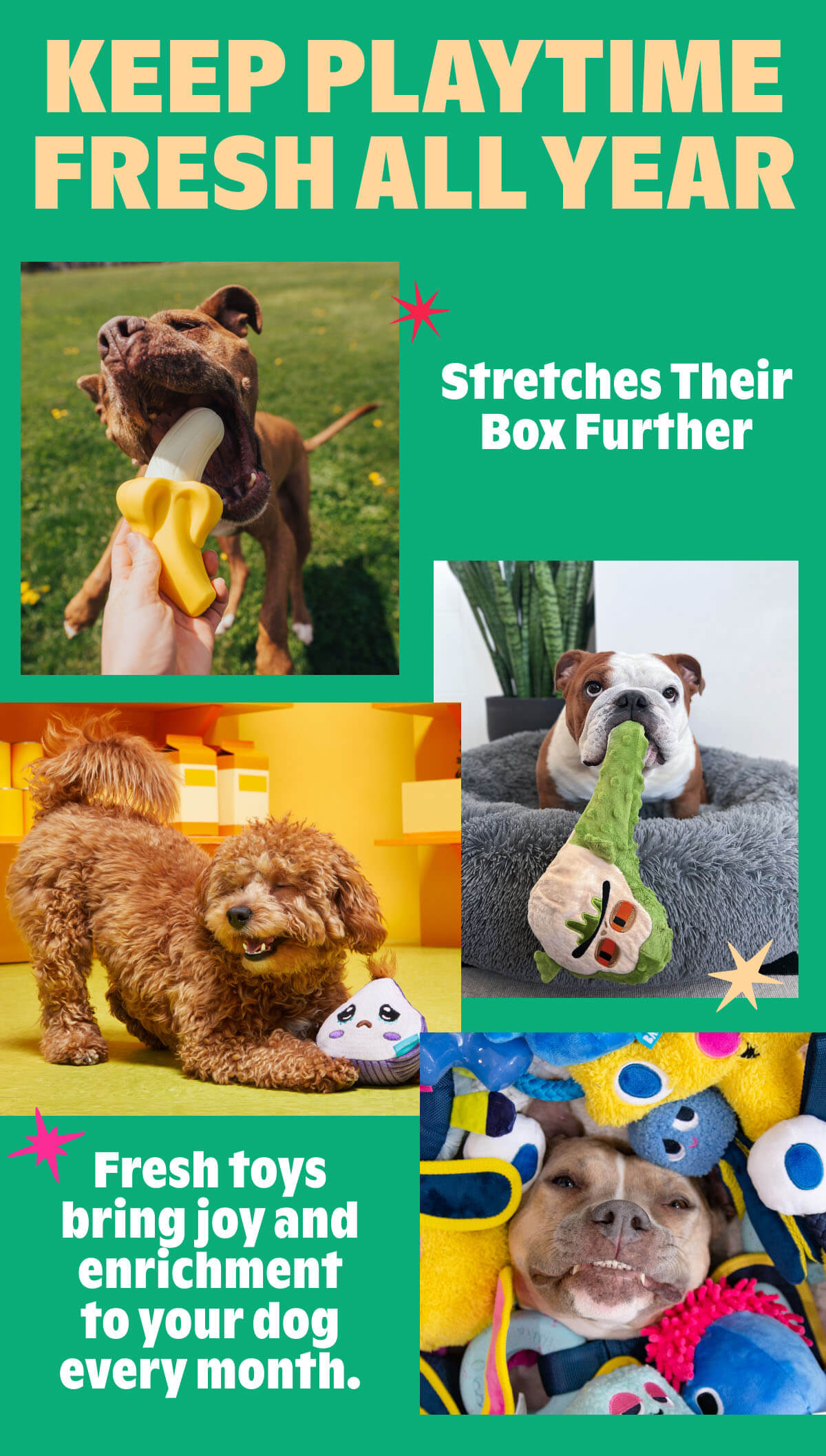 Keep Playtime Fresh All Year