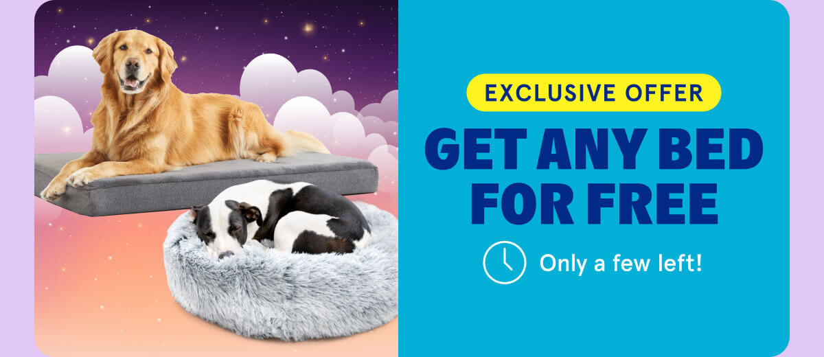 get any bed For Free