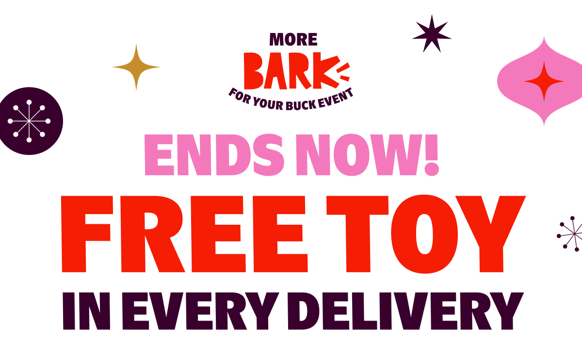 ENDS NOW! FREE TOY In EVERY DELIVERY