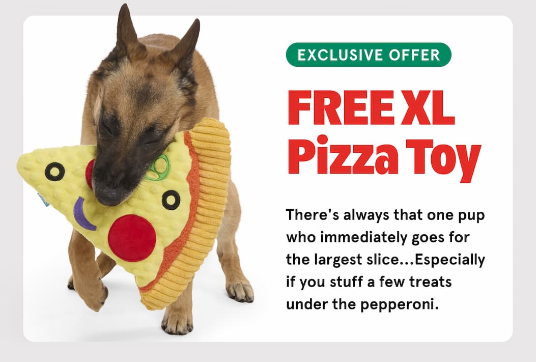 free xl pizza toy