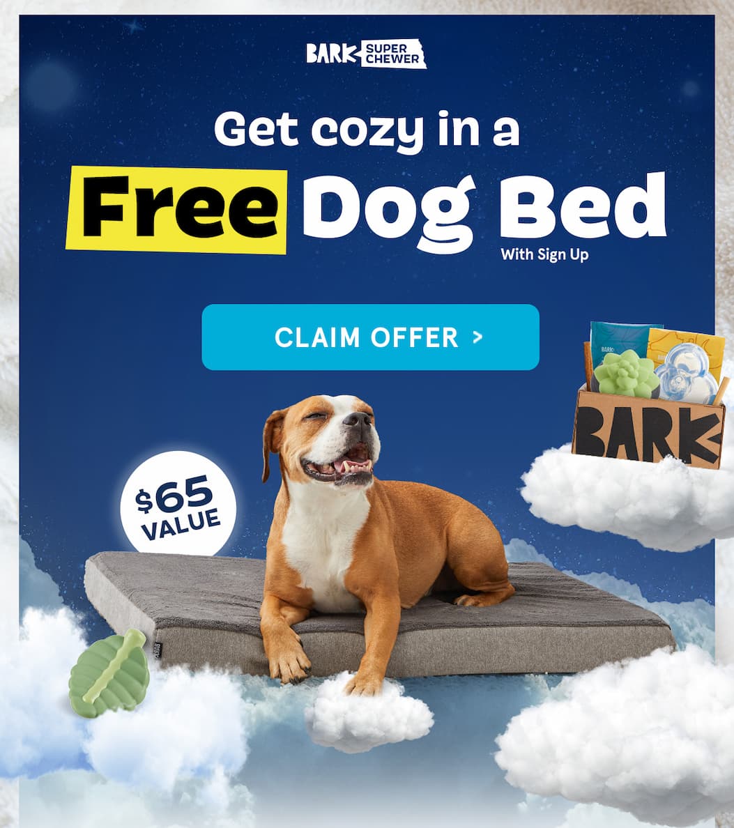 Free Dog Bed
