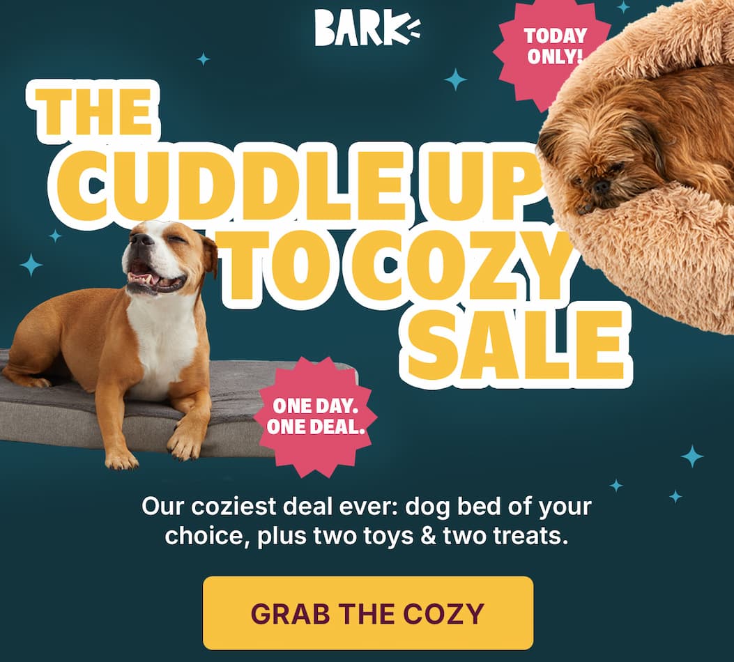 Cuddle up to cozy sale