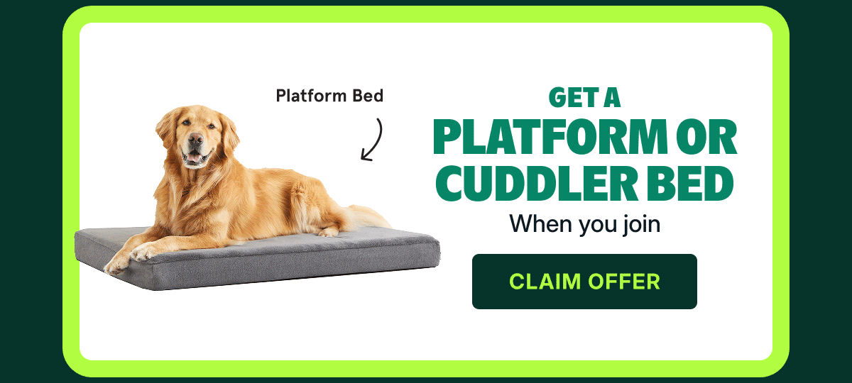 get a Platform or Cuddler Bed