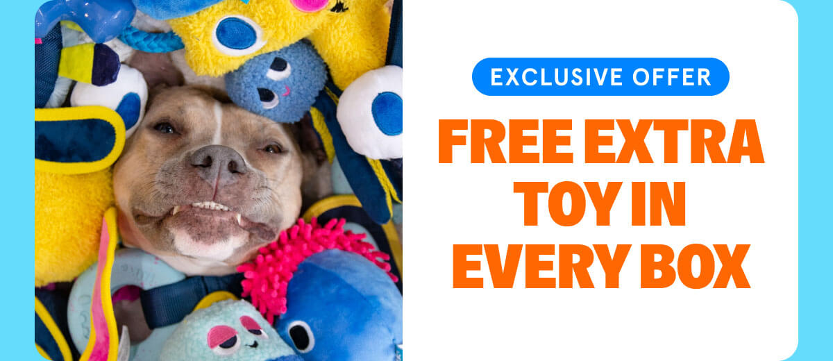 Free Extra Toy In Every Box