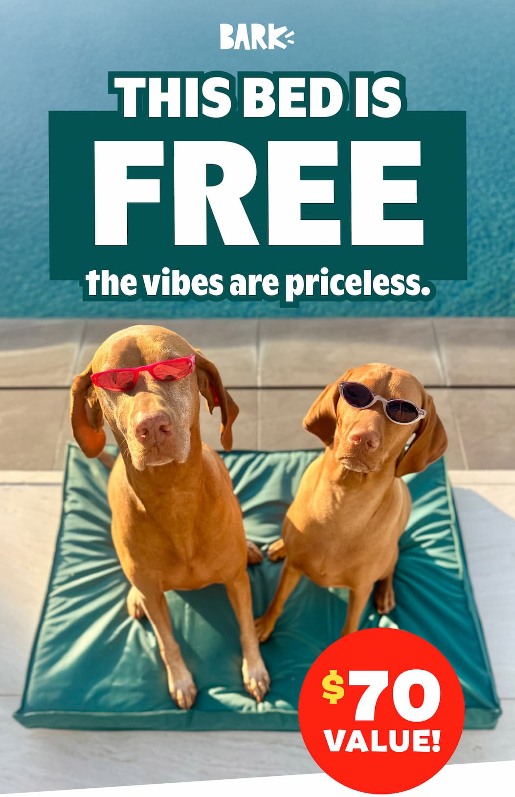 Free Funboy Pool