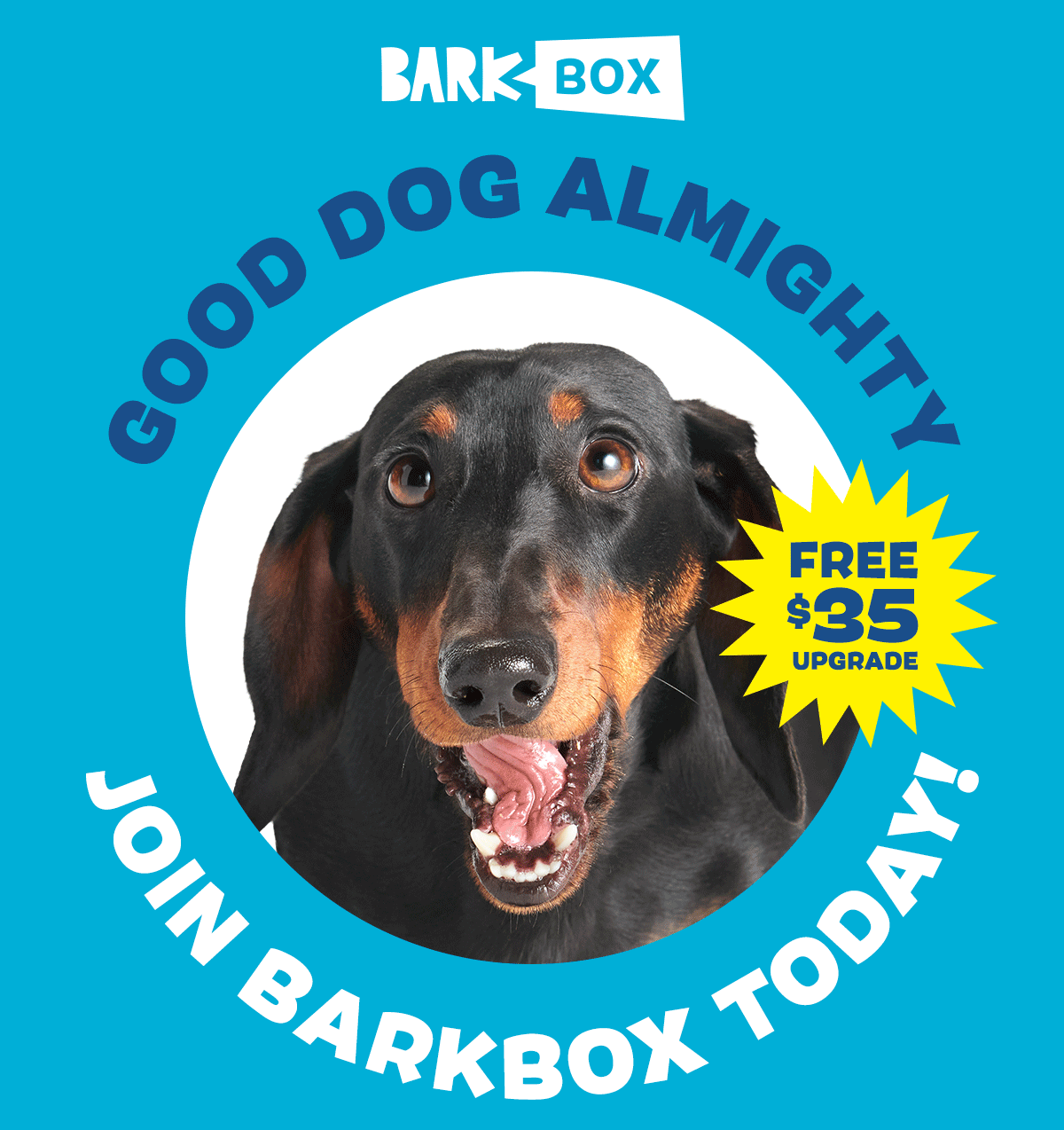Join BarkBox Today!