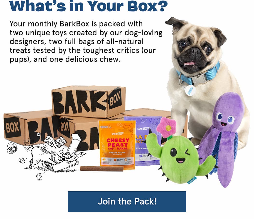what's in your box