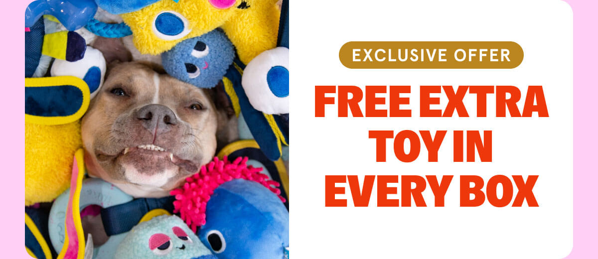 Free Extra Toy In Every Box