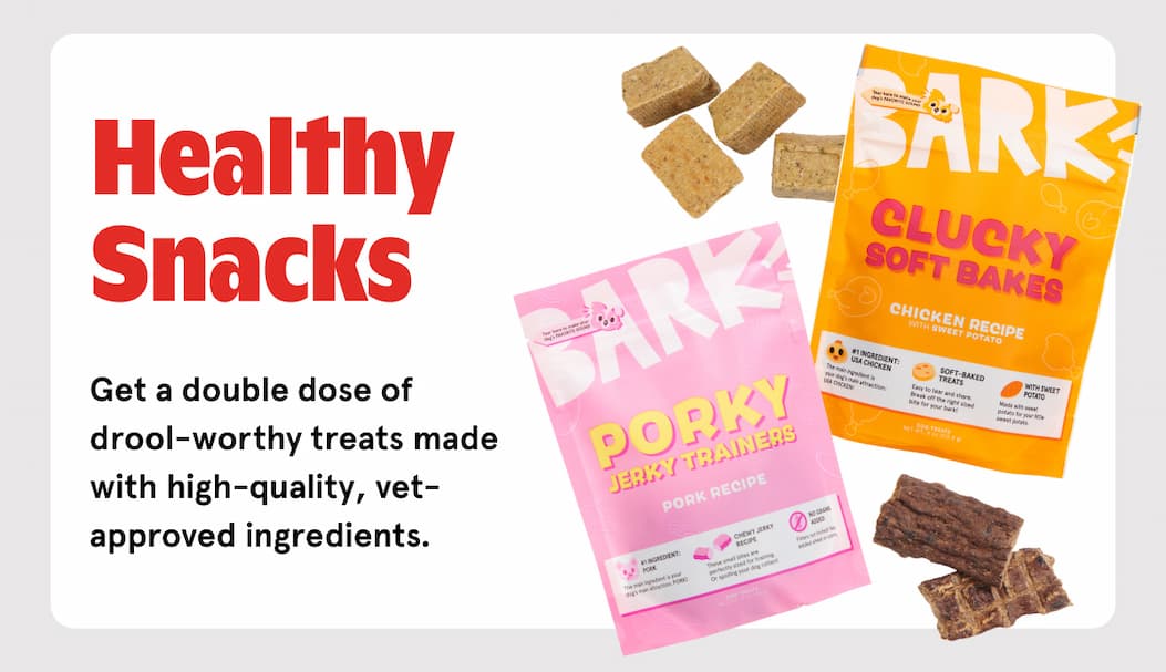healthy snacks