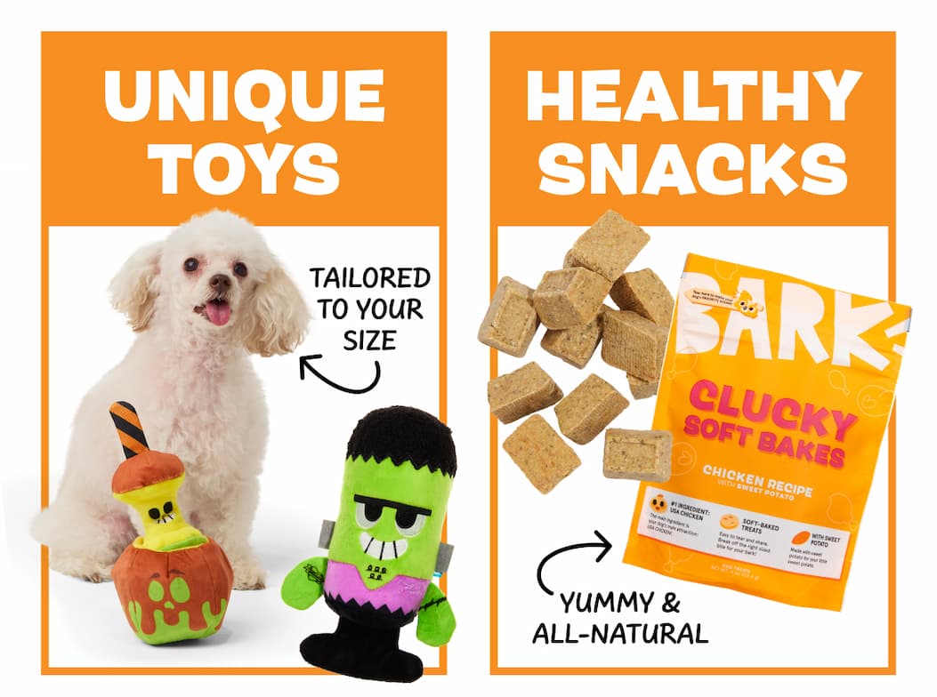 unique toys