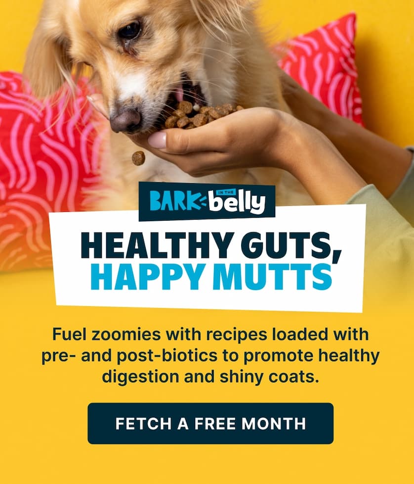 free dog food