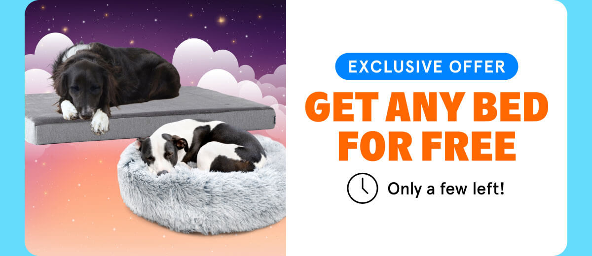 get any bed For Free