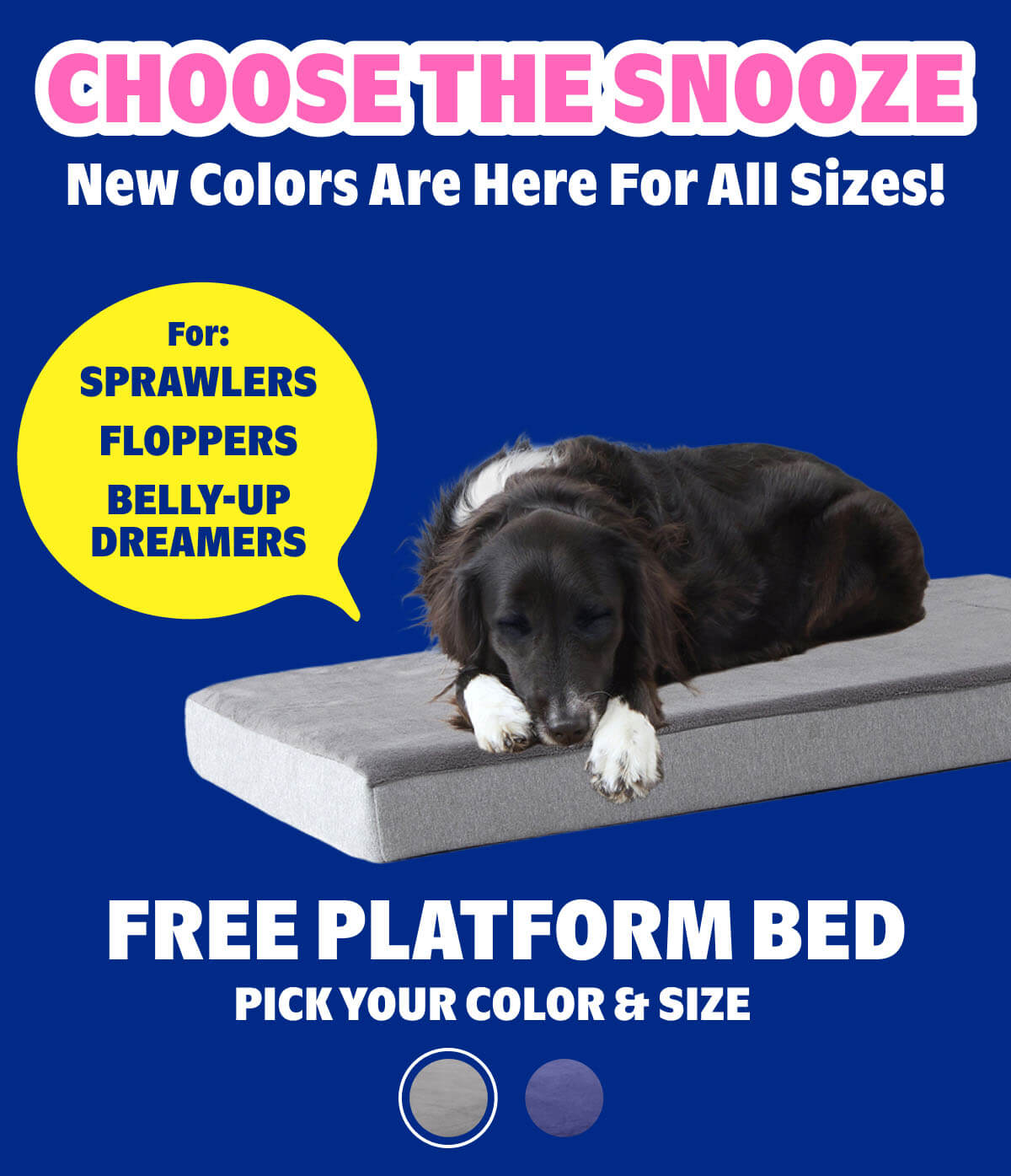 FREE Platform Bed
