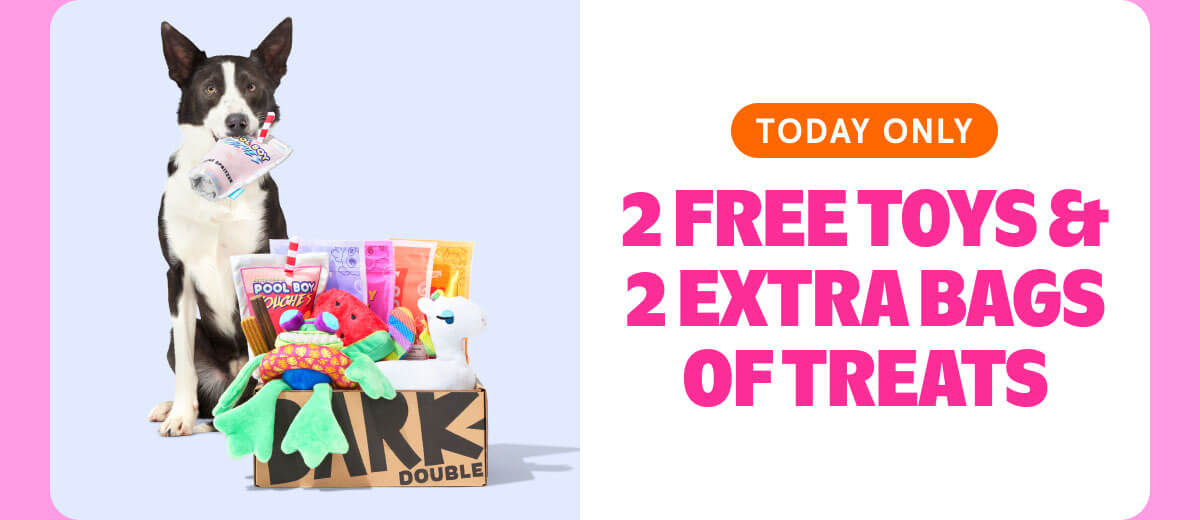 2 FREE TOYS & 2 EXTRA BAGS OF TREATS