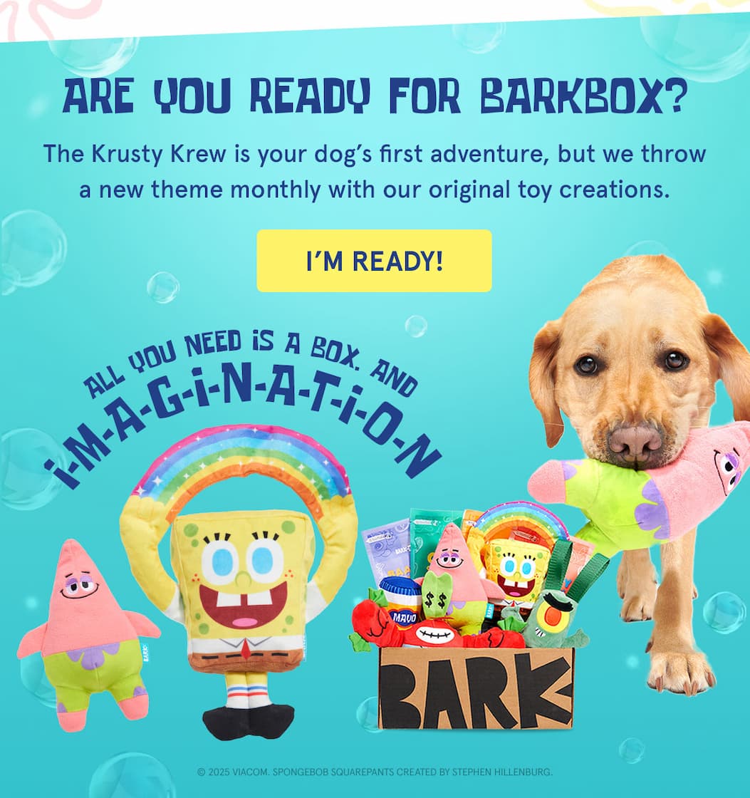 are you ready