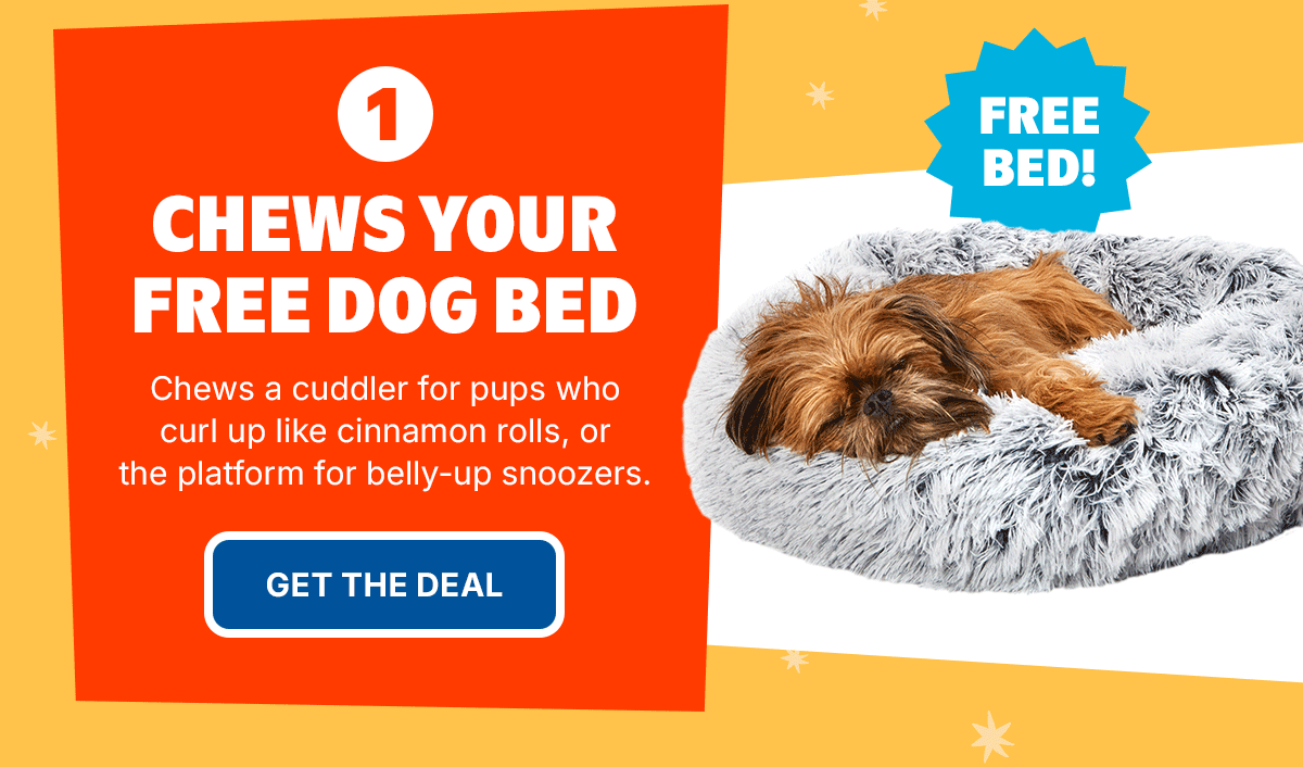 Our coziest beds ever 