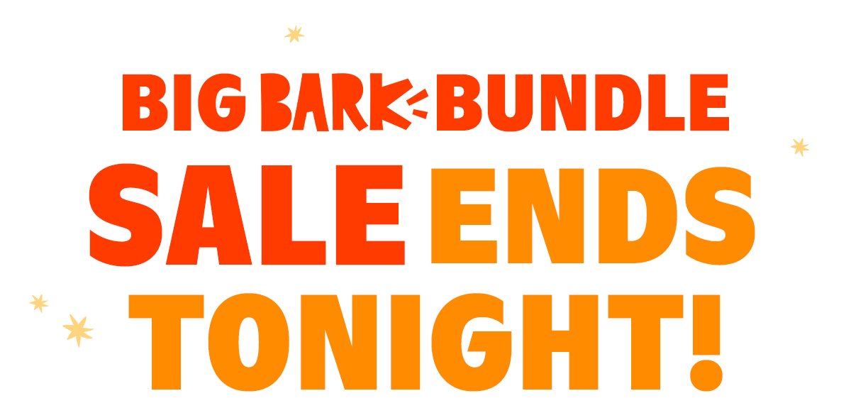 Get a complimentary bed, today only