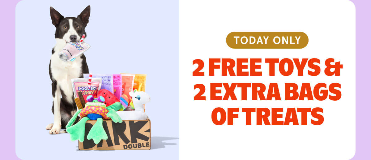2 FREE TOYS & 2 EXTRA BAGS OF TREATS