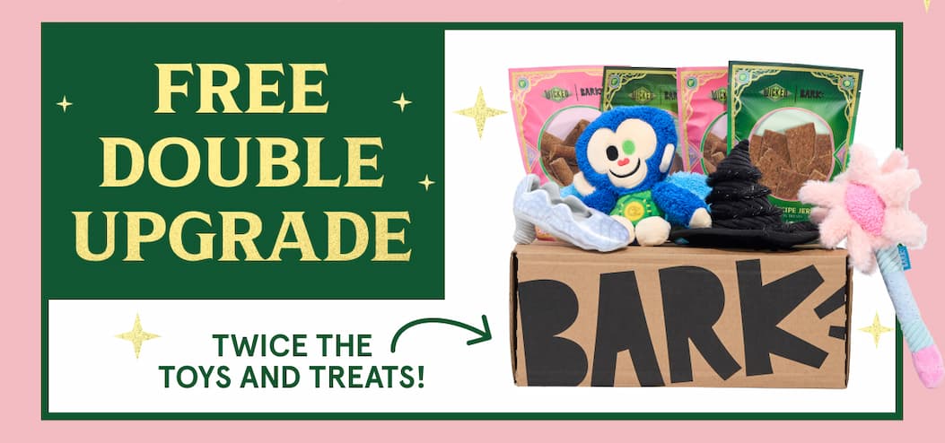 free double upgrade