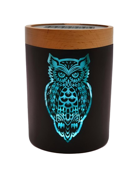 Owllusion Turquoise SoleStash - Turn on Images!