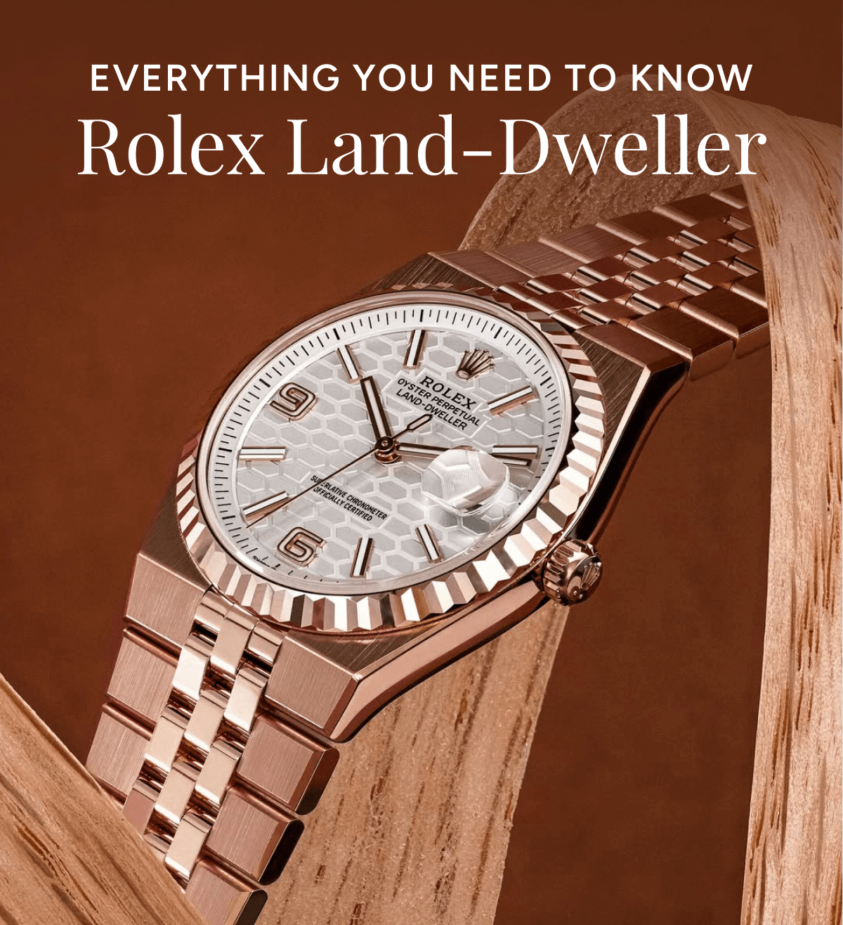 Everything you need to know | Rolex Land-Dweller