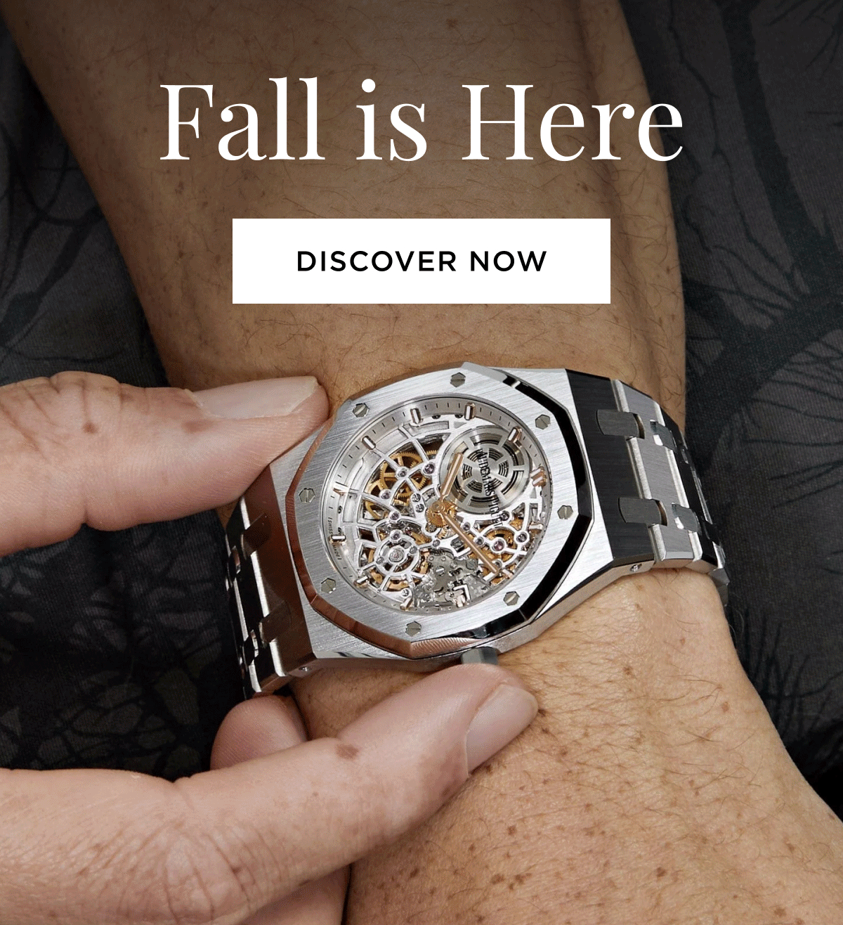 The Fall Edit | Discover now
