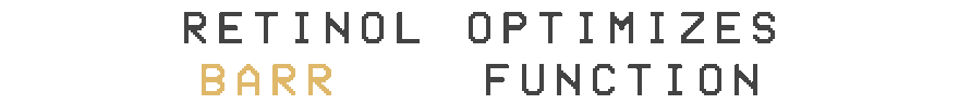 Retinol optimizes barrier function.