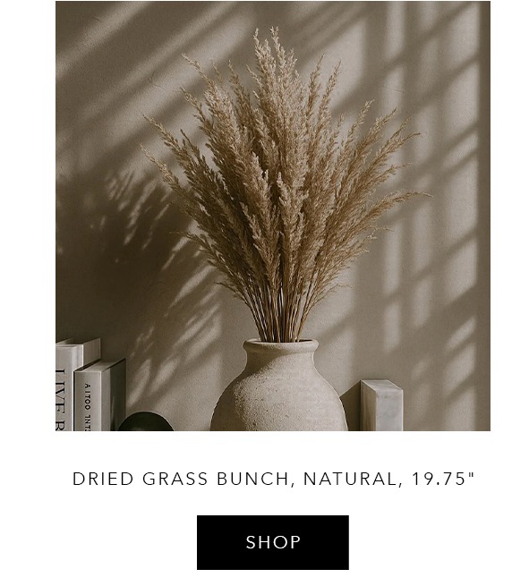 Dried Grass Bunch, Natural- Shop
