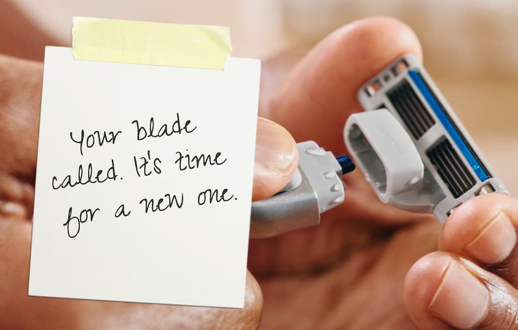 Shop Shave
