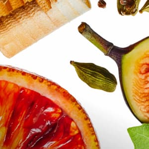 Fig