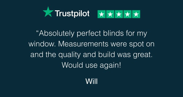 Trustpilot review
