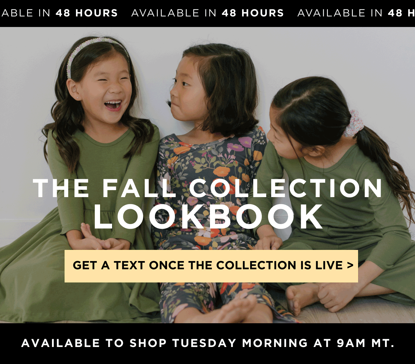 The Fall Collection Lookbook Is Here 🤩 Alice Ames Stacie Lang