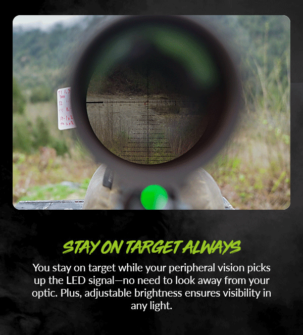 Stay On Target Always