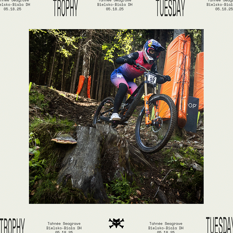 Free Shipping + Free Gift With Purchase