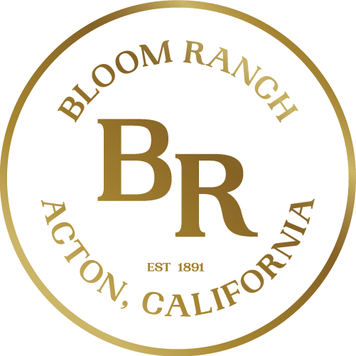 BR golden logo