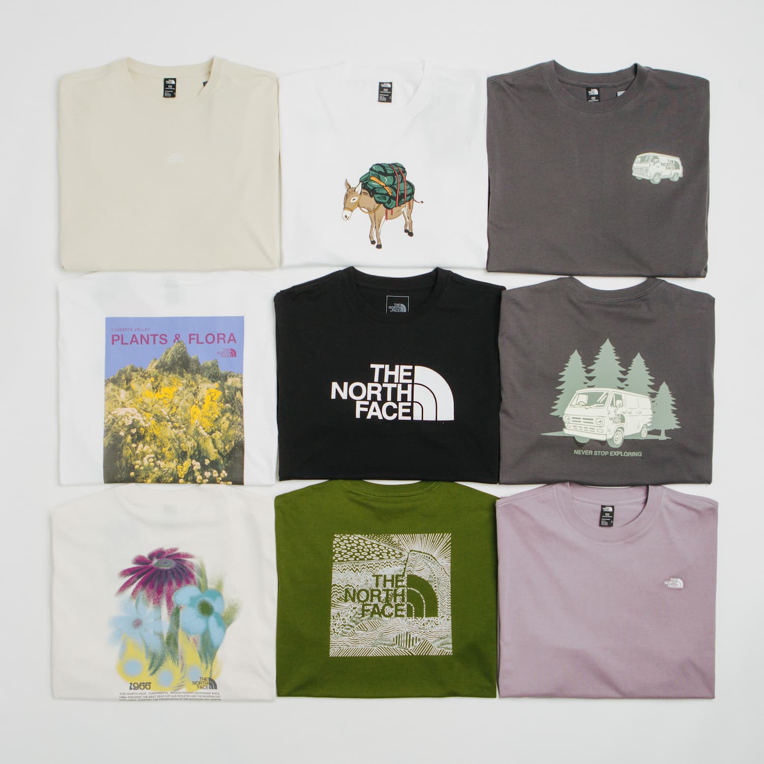 The North Face @ flatspot