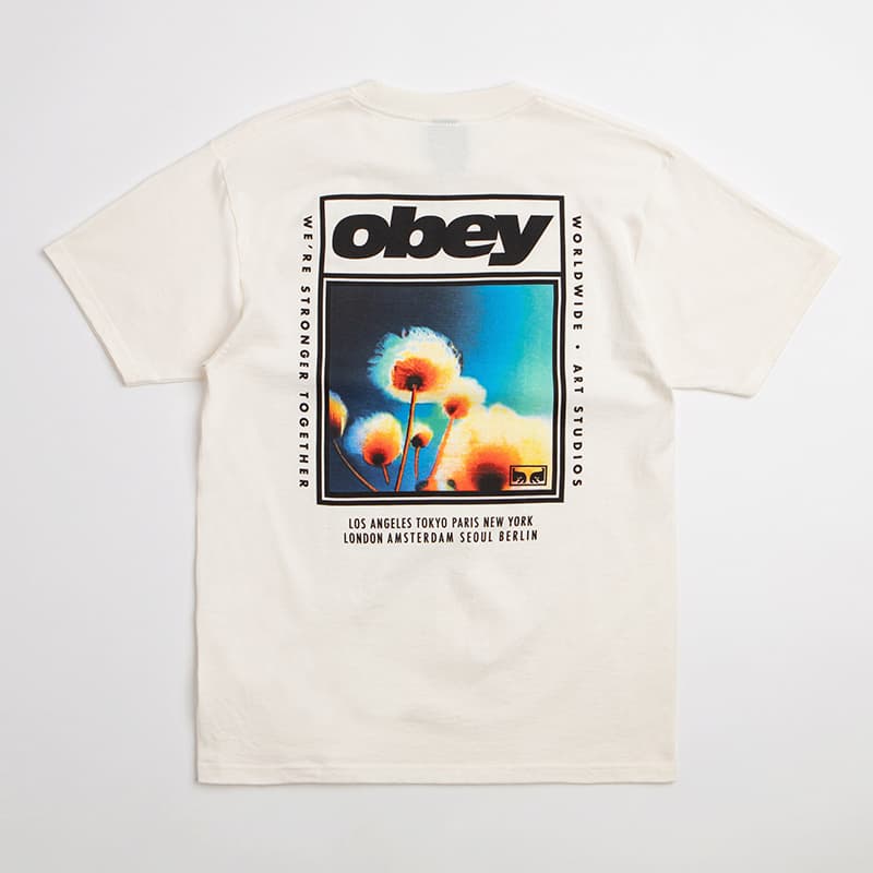 Obey @ flatspot