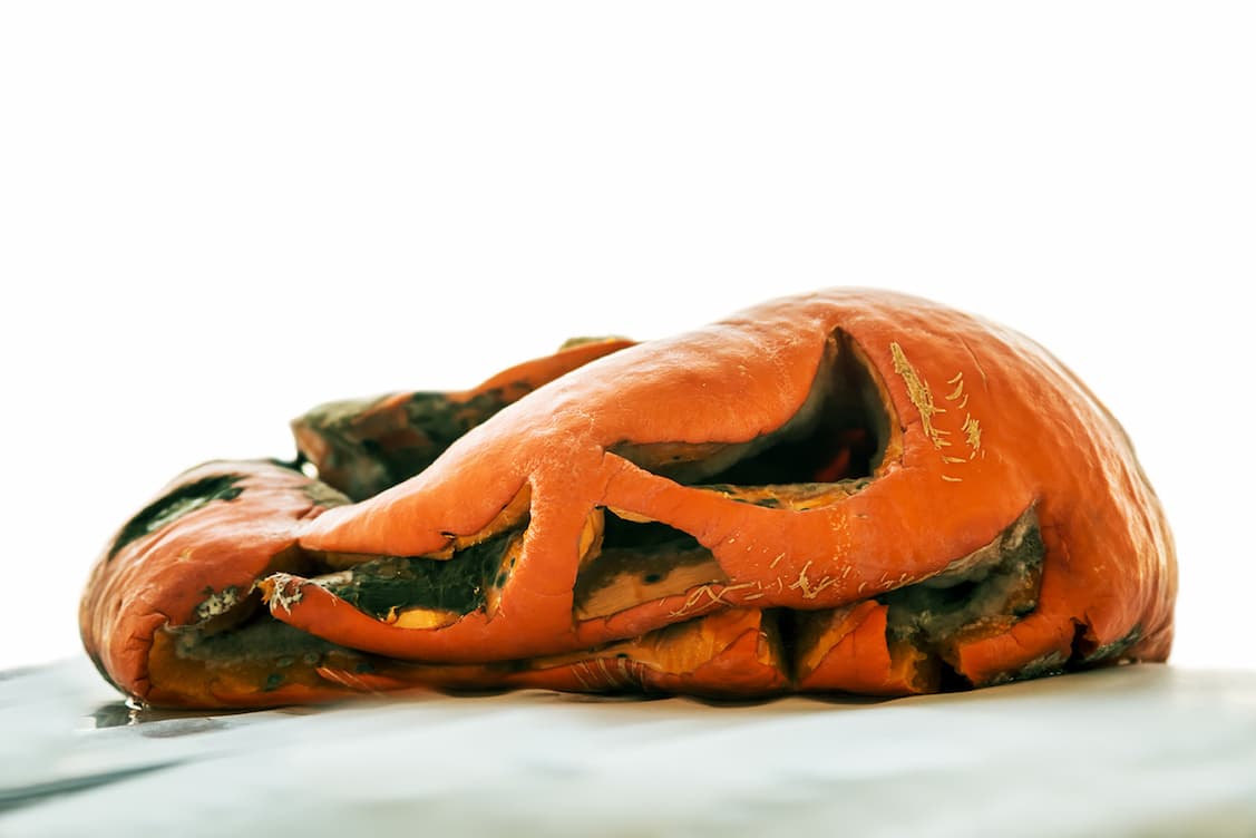 rotting jack-o-lantern